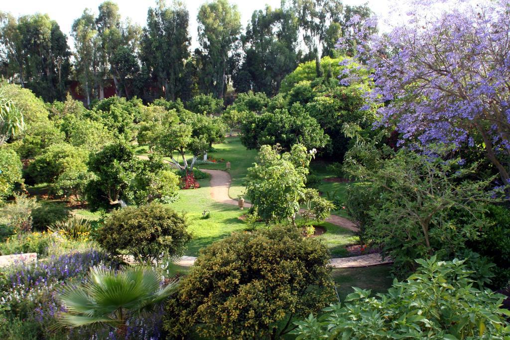 La Villa Mandarine Rabat Ngoại thất bức ảnh